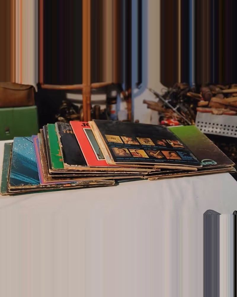 Lot de 30 disques 33 Tours