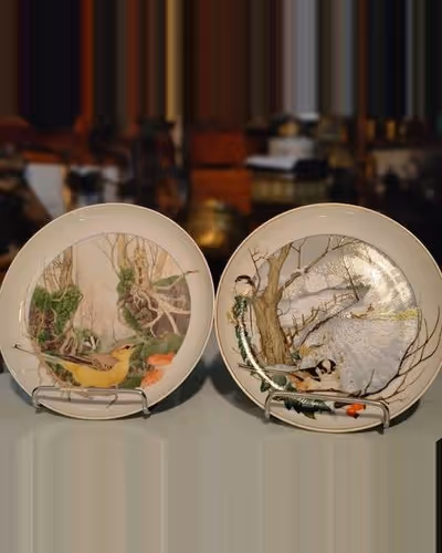 Assiettes en porcelaine de MartinCamm